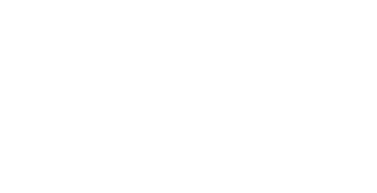 Novontis Logo